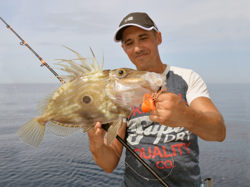 Comme le prouve ce beau Saint-Pierre, la Slow Pitch Italcanna est parfaite pour manier un madaï jig tel que le Grumpy Glowbite ! Comme le prouve ce beau Saint-Pierre, la Slow Pitch Italcanna est parfaite pour manier un madaï jig tel que le Grumpy Glowbite !