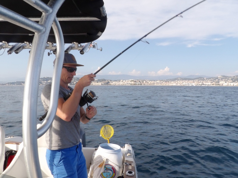 Le downrigger offre l'avantage de pouvoir combattre le poisson sans plombée et d'avoir ainsi beaucoup plus de sensations Le downrigger offre l'avantage de pouvoir combattre le poisson sans plombée et d'avoir ainsi beaucoup plus de sensations