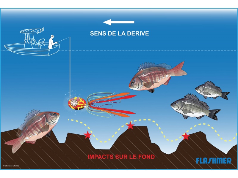 Les kaburas Explorer Tackle sont très efficaces en pêches à raser prés du fond !