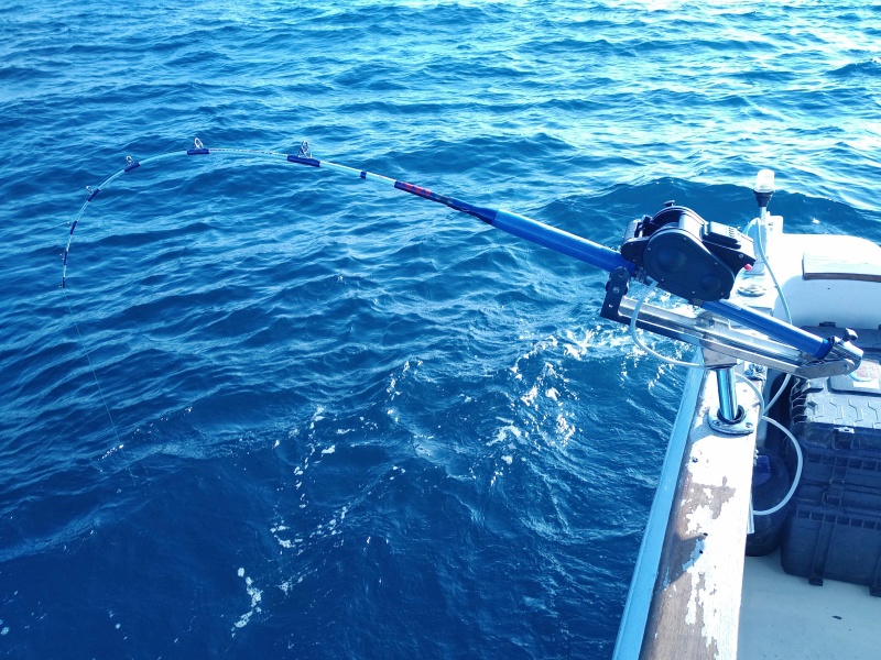 Avec le XL 600 Kristal Fishing, il est possible de régler très facilement la cadence de jigging pour cibler un prédateur en particulier