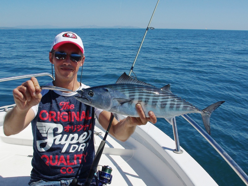 Belle pélamide prise au jig minnow ULM Smith ! Belle pélamide prise au jig minnow ULM Smith !