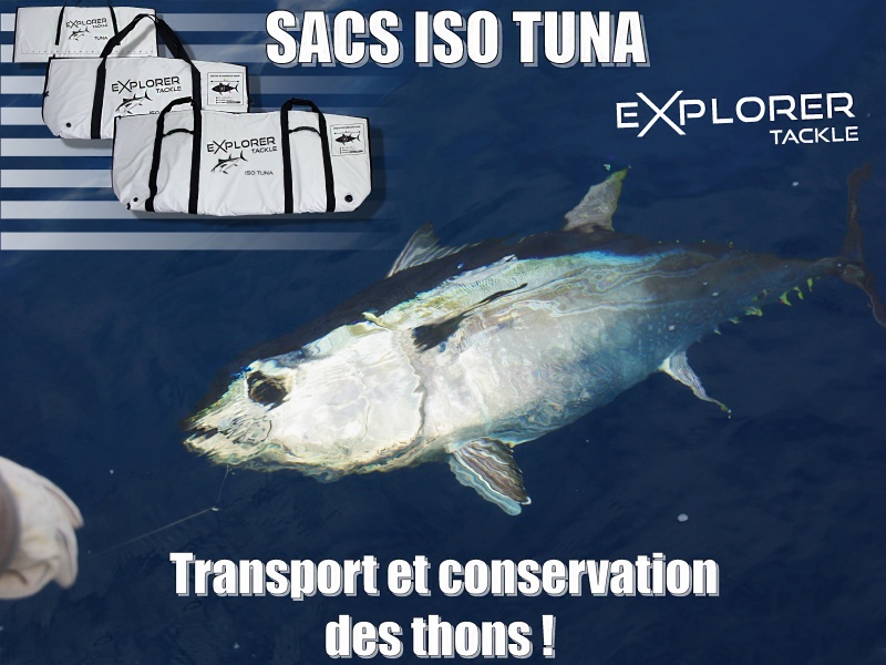 La pêche au broumé est une technique très efficace pour pêcher de beaux thons rouges !