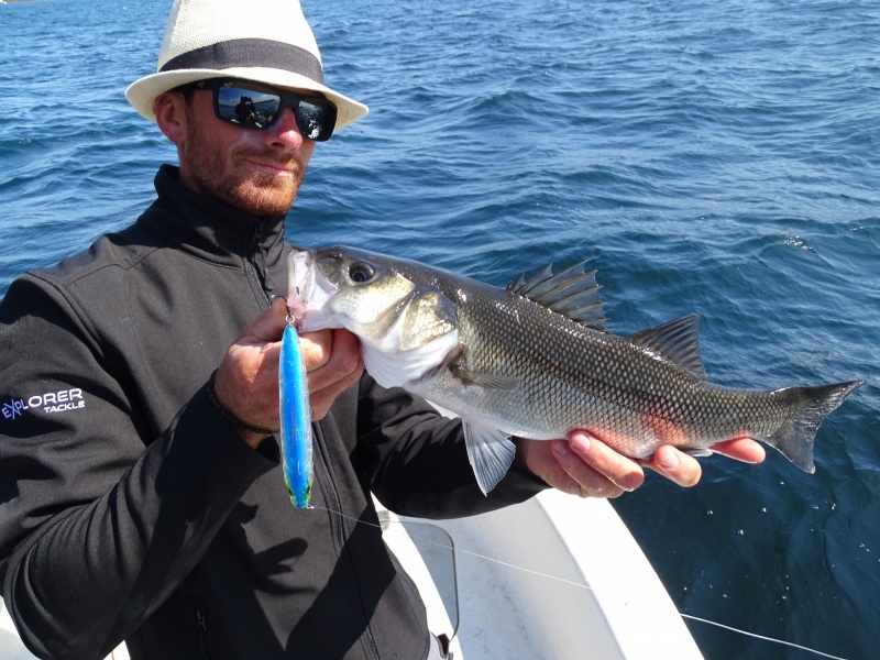 La PEX8 Lure Edition est une tresse parfaite pour les pêches aux leurres !