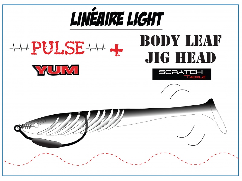 Un texan plombé Body Leaf Jig Head armant un shad Pulse Yum est parfait pour les pêches en linéaire !