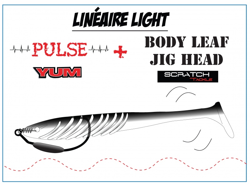 Un texan plombé Body Leaf Jig Head armant un shad Pulse Yum est parfait pour les pêches en linéaire ! Un texan plombé Body Leaf Jig Head armant un shad Pulse Yum est parfait pour les pêches en linéaire !