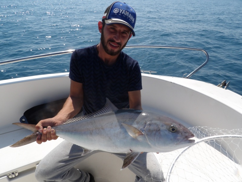 Un autre stagiaire de Fabien Harbers avec une sériole prise au downrigger