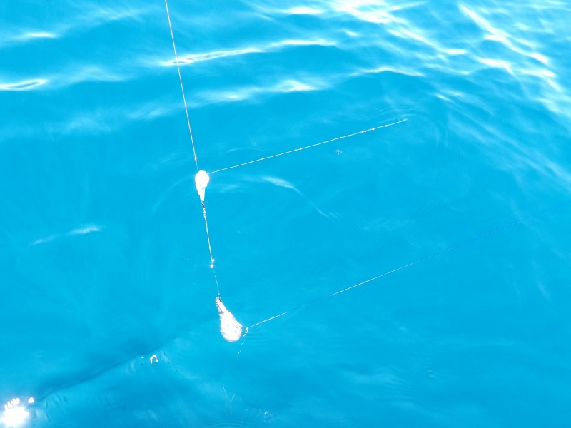 Mise à l’eau du premier bas de ligne spécial poissons benthiques avec le bateau avançant au ralenti Mise à l’eau du premier bas de ligne spécial poissons benthiques avec le bateau avançant au ralenti