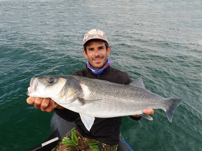 La R-18 Seabass est parfaite pour les lancers longues distances du bord !
