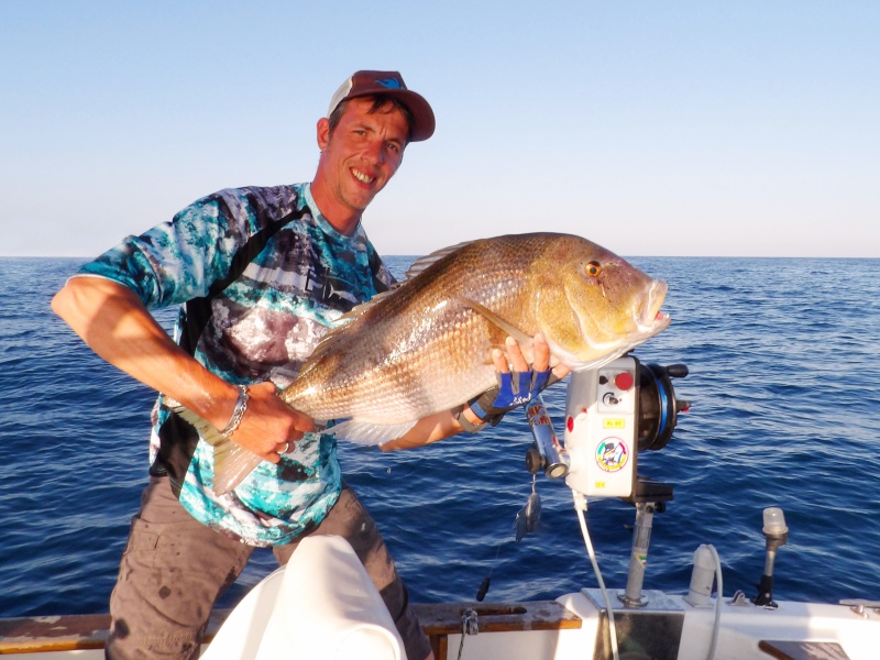 La technique de la traine lente au vif avec un downrigger est certainement la plus efficace pour pêcher le denti !