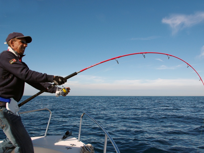 Pêcher avec de petits minnows ultra denses est très efficace sur les thons difficiles ! Pêcher avec de petits minnows ultra denses est très efficace sur les thons difficiles !