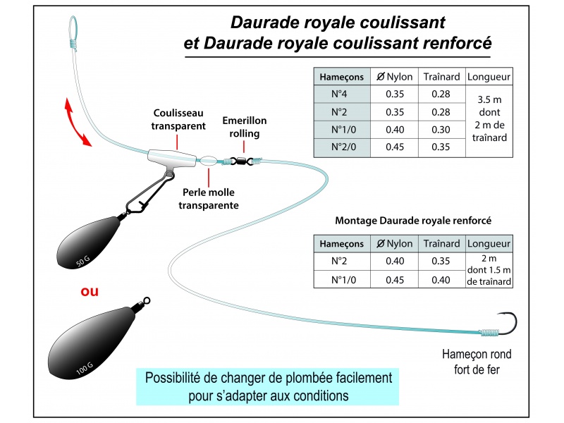 Le montage daurade royale coulissant Flashmer est également excellent sur les dorades grises !