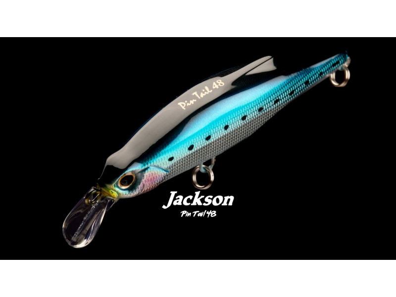 Le Pin Tail 48 Jackson offre une densité record ! Le Pin Tail 48 Jackson offre une densité record !