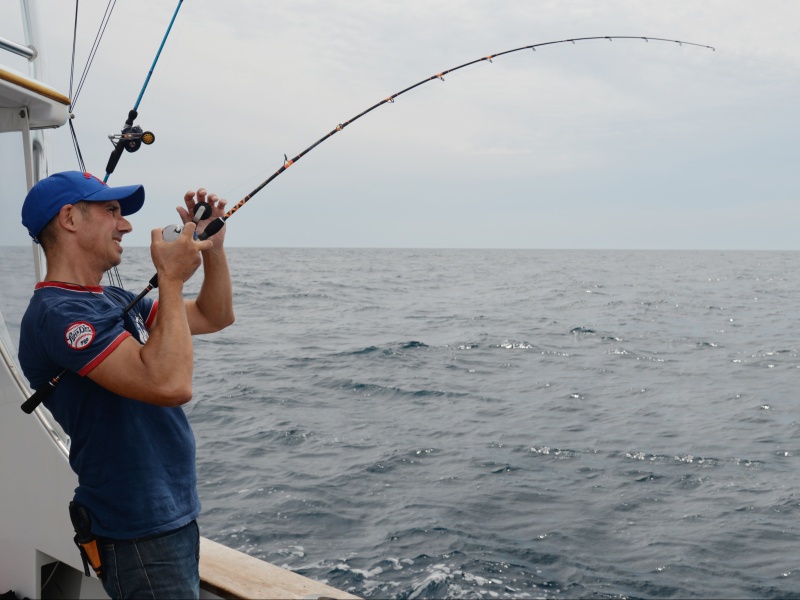 La puissance de combat des pageots est un bonheur pour le pêcheur sportif !