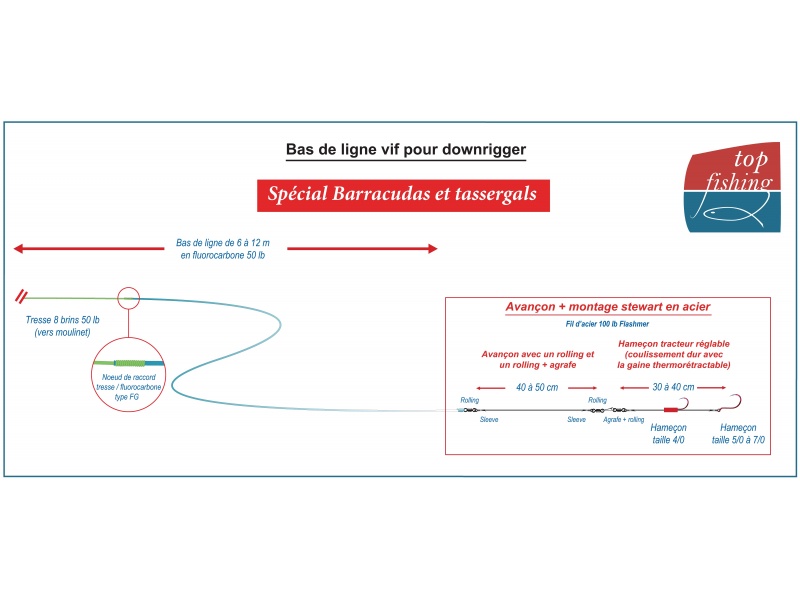 Le bas de ligne spécial barracudas et tassergals pour downrigger du moniteur guide Fabien Harbers