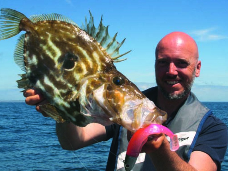 Matthieu Guennal, l’inventeur du Black Minnow Fiiish pêche régulièrement les Saint-Pierre avec son célèbre shad