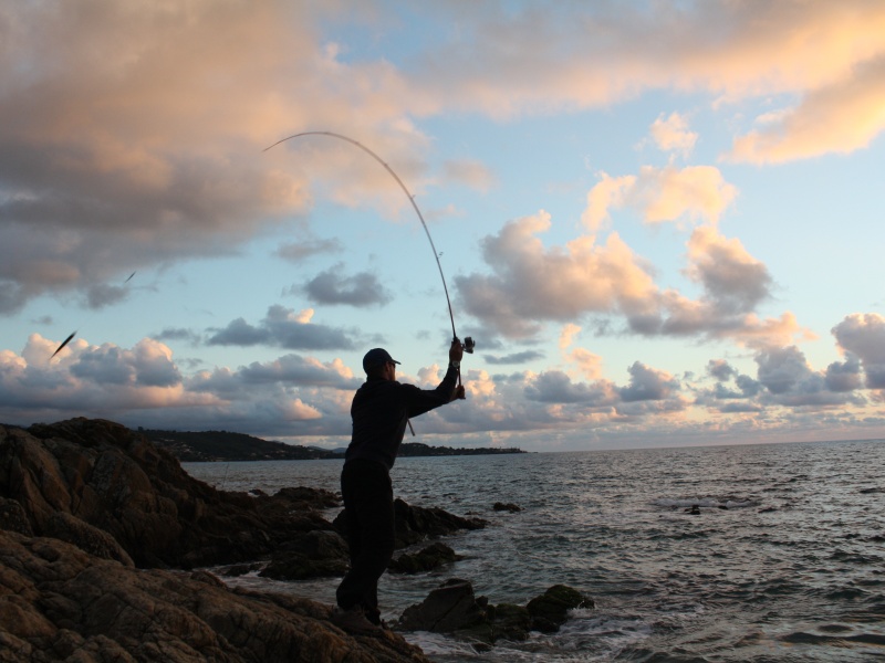 Ce pêcheur a installé un petit Raglou devant son poisson nageur !