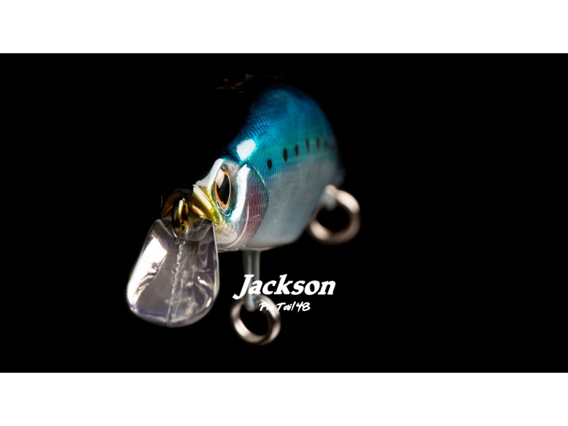 Grâce à sa large bavette renforcée, le Pin Tail 48 Jackson brasse beaucoup d'eau ! Grâce à sa large bavette renforcée, le Pin Tail 48 Jackson brasse beaucoup d'eau !