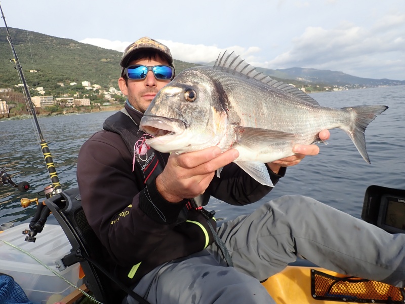 Magnifique daurade royale prise avec un tenya Explorer Deep Explorer Tackle