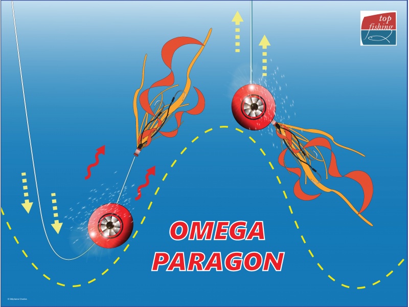 La tête coulissante donne à la Slider Head Omega X-Paragon une nage très attractive La tête coulissante donne à la Slider Head Omega X-Paragon une nage très attractive