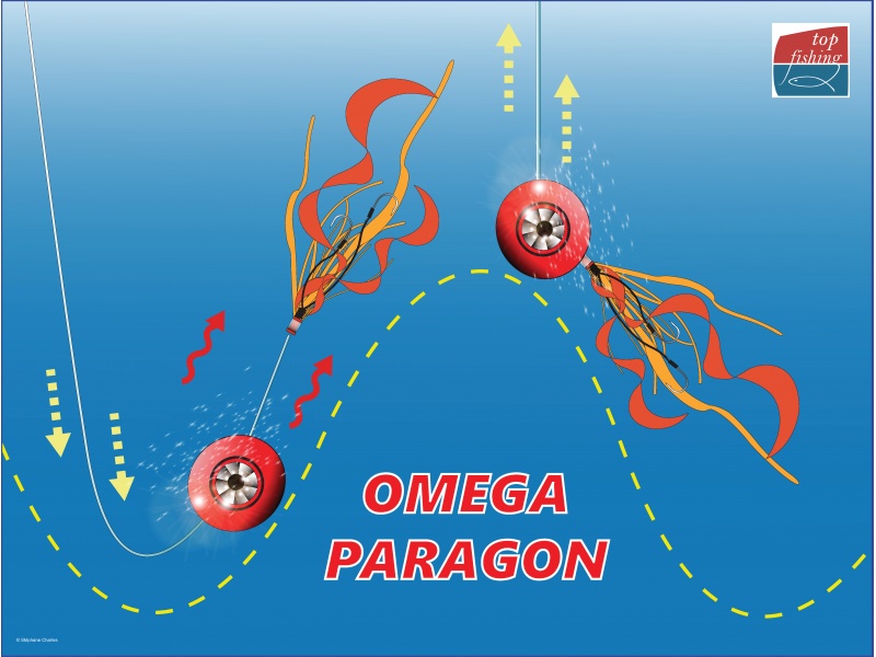 La tête coulissante donne à la Slider Head Omega X-Paragon une nage très attractive