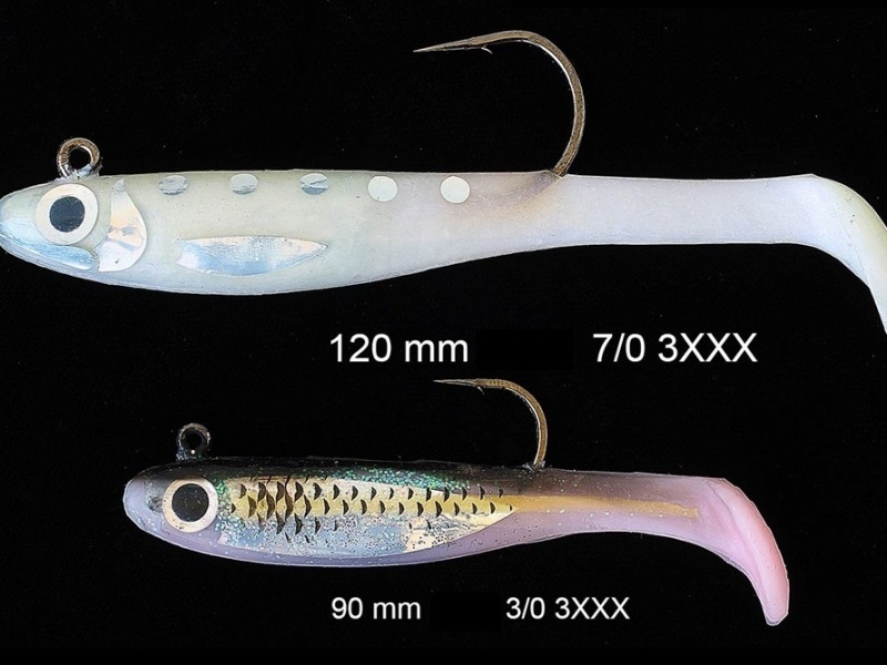 Les différentes tailles du Natural Sardine Bertox permettent de s’adapter à toutes les situations ! Les différentes tailles du Natural Sardine Bertox permettent de s’adapter à toutes les situations !