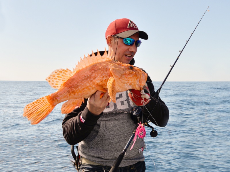 Enorme chapon de 2,5 kg pris avec la Slider Head Omega X-Paragon ! Enorme chapon de 2,5 kg pris avec la Slider Head Omega X-Paragon !