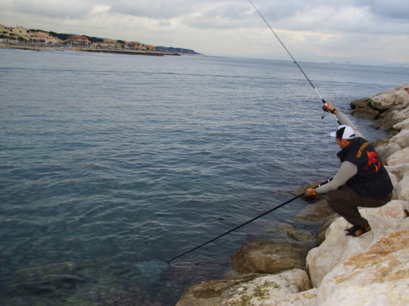 L’épuisette Iso Daiwa est idéale pour pêcher des rochers !