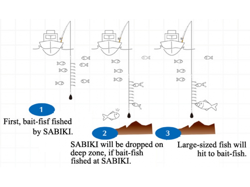 La technique de l'Otoshi Komi Sabiki est d'une redoutble efficacité !