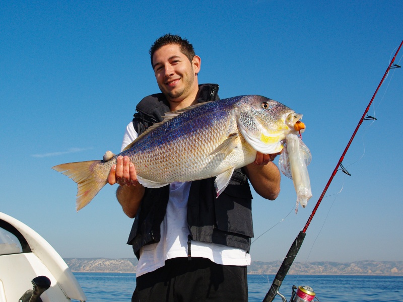 Ce magnifique denti pêché au Fireball Top Sea montre bien l’efficacité du calamar en mer ! Ce magnifique denti pêché au Fireball Top Sea montre bien l’efficacité du calamar en mer !