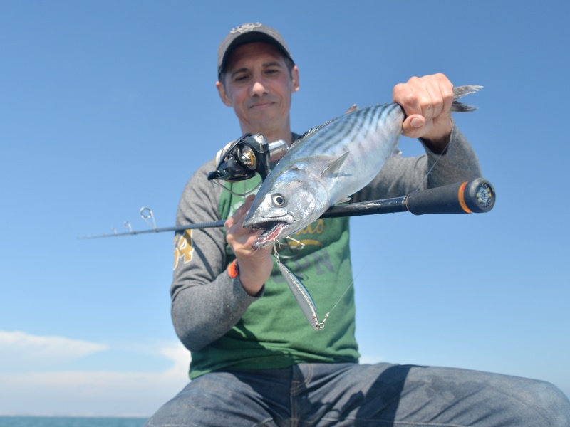 Fonctionnant sur simple ramené linéaire, l’efficacité de l’Athlète 9JM est impressionnante. Un coup de cœur Top Fishing ! Fonctionnant sur simple ramené linéaire, l’efficacité de l’Athlète 9JM est impressionnante. Un coup de cœur Top Fishing !