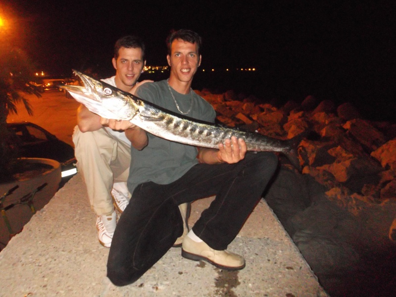 Magnifique barracuda pris au long minnow par Fabien Harbers et son frère jumeau Julien