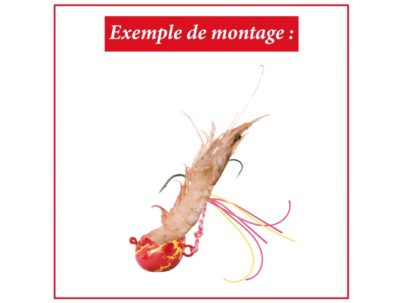 Crevette montée sur le Tenya Deep Bream Explorer Tackle