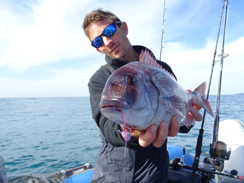 Beau pagre pris sur un tenya Explorer Deep Explorer Tackle Beau pagre pris sur un tenya Explorer Deep Explorer Tackle