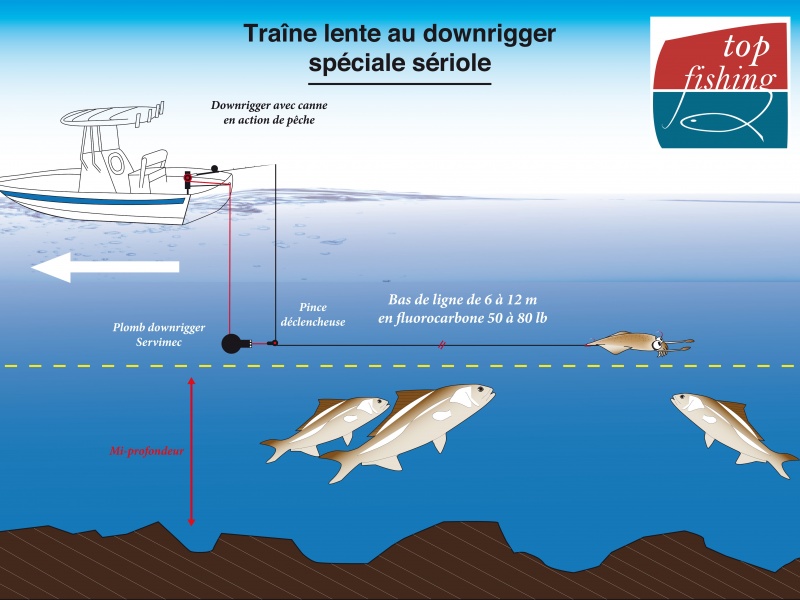 Le principe de fonctionnement de la technique du downrigger pour la pêche de la sériole en traine lente