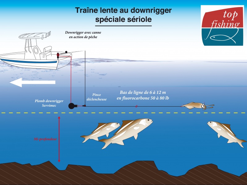 Le principe de fonctionnement de la technique du downrigger pour la pêche de la sériole en traine lente