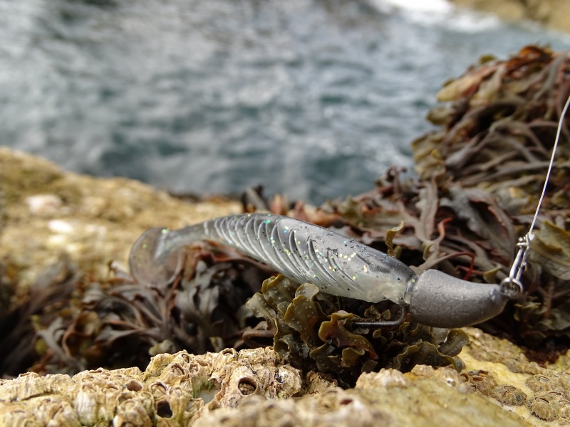 Monté sur une tête plombée texane, ce shad Pulse Yum passe dans les algues sans accrochages