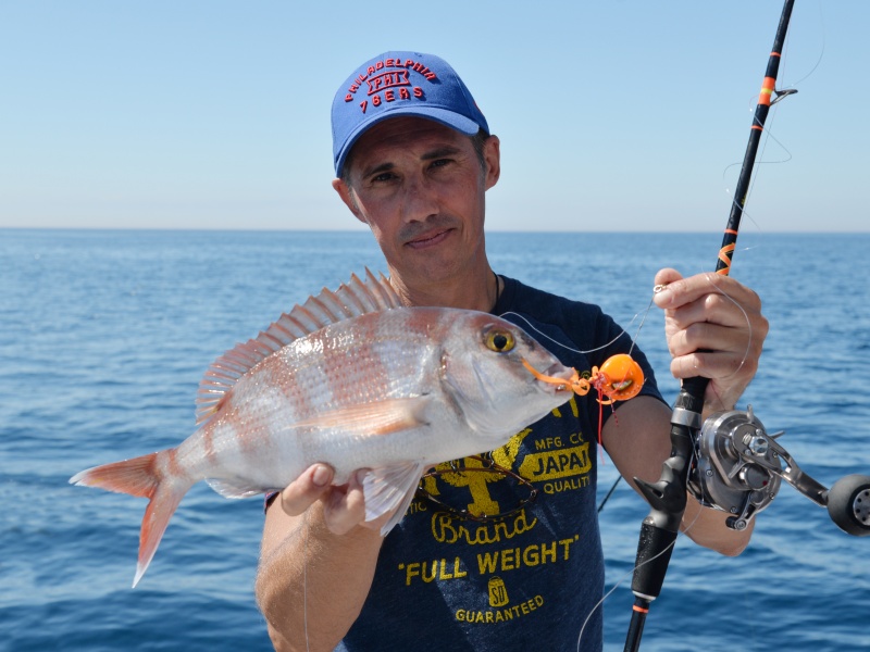 Ultra polyvalente, la Slow Pitch permet aussi de pêcher au madaï jig comme le prouve ce pagre pris au Straight Fall Hayabusa Ultra polyvalente, la Slow Pitch permet aussi de pêcher au madaï jig comme le prouve ce pagre pris au Straight Fall Hayabusa