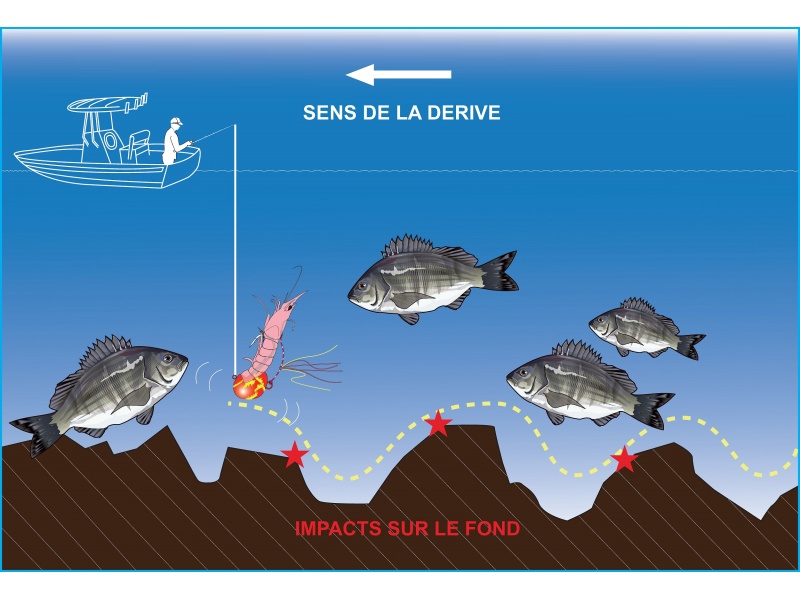 Animation du Tenya Deep Bream Explorer Tackle Animation du Tenya Deep Bream Explorer Tackle