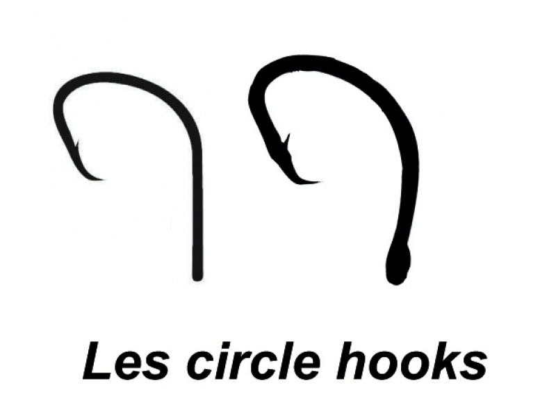 Circle hooks Circle hooks