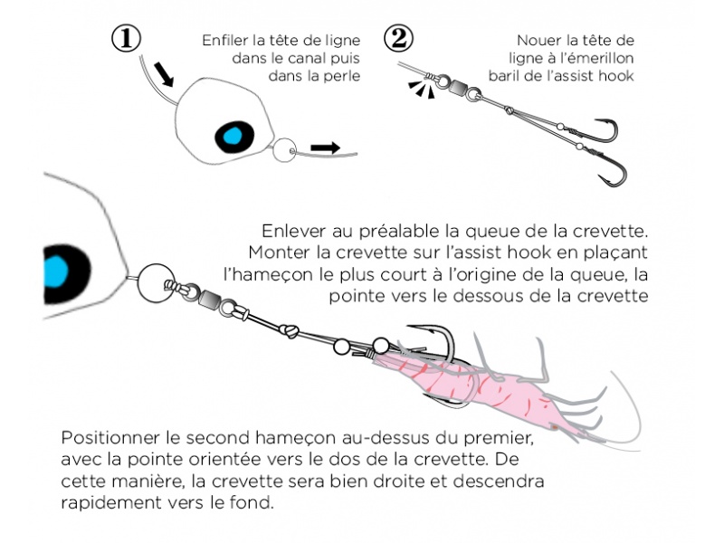 Comment installer la crevette sur un Tenya SE108 Hayabusa