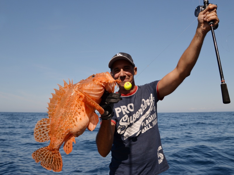 Magnifique chapon pris en pêche profonde grâce à la Slow Pitch Italcanna !