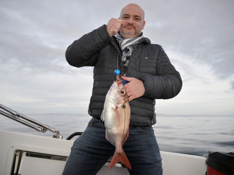 Magnifique dorade rose prise au Kabura Explorer Tackle boosté aux lanières de calamar Magnifique dorade rose prise au Kabura Explorer Tackle boosté aux lanières de calamar