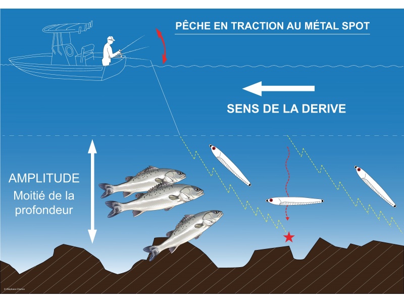 Pêche du bar en traction avec un casting jig Metal Spot