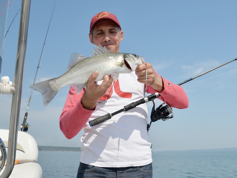 Comme souvent, ce bar a mordu lors de la phase de relâcher du casting jig ! Comme souvent, ce bar a mordu lors de la phase de relâcher du casting jig !