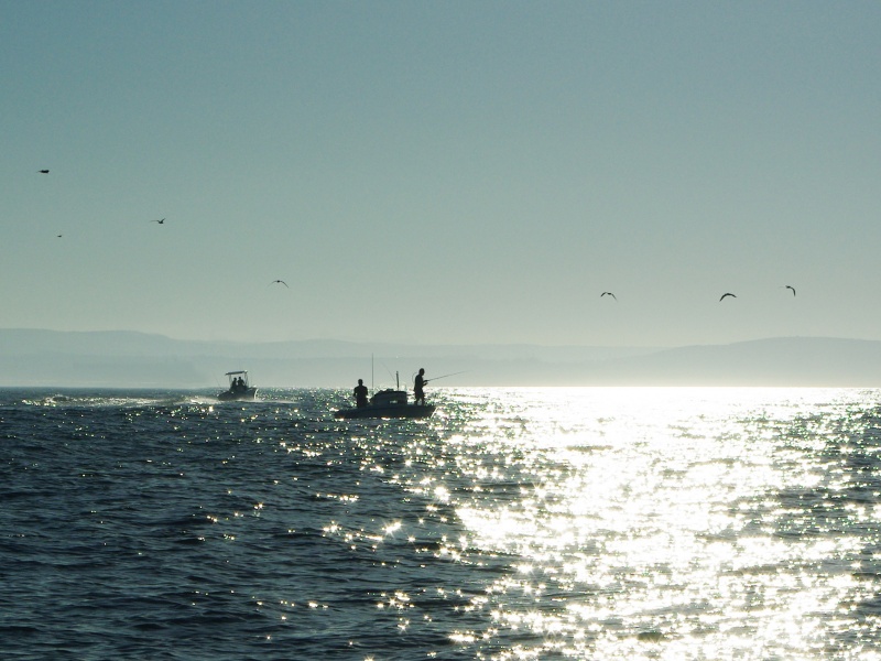 Scène de pêche en mer