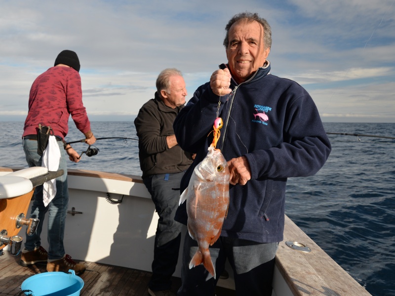 Un autre beau pagre pris au madaï maréchal pour ce pêcheur Un autre beau pagre pris au madaï maréchal pour ce pêcheur