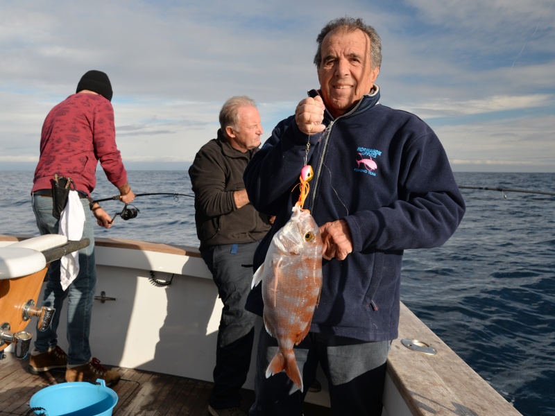 Un autre beau pagre pris au madaï maréchal pour ce pêcheur