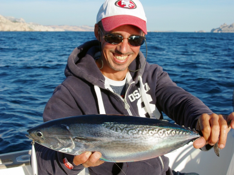 Les vibrations d’un minnow permettent de décider les bonites difficiles ! Les vibrations d’un minnow permettent de décider les bonites difficiles !