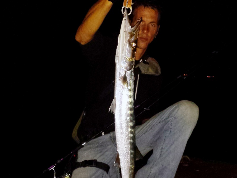 Beau barracuda pris par Fabien avec un Tide Minnow 175 blanc Beau barracuda pris par Fabien avec un Tide Minnow 175 blanc