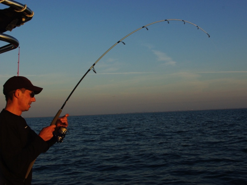 8 braid daiwa même en 12 centièmes elle supporte du lourd 8 braid daiwa même en 12 centièmes elle supporte du lourd